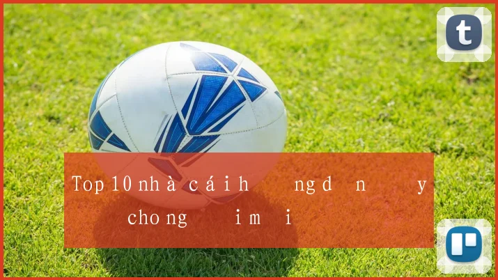 Top 10 nhà cái hướng dẫn đầy đủ cho người mới