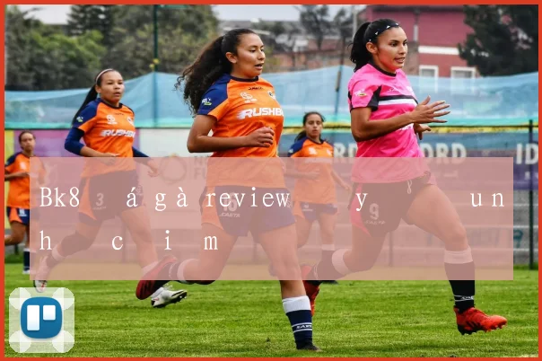 Bk8 đá gà review đầy đủ ưu nhược điểm