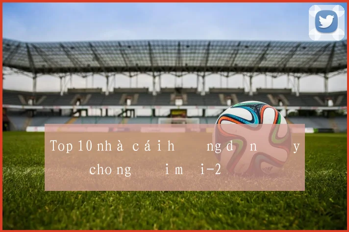 Top 10 nhà cái hướng dẫn đầy đủ cho người mới
